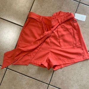 New, never worn dress/casual shorts